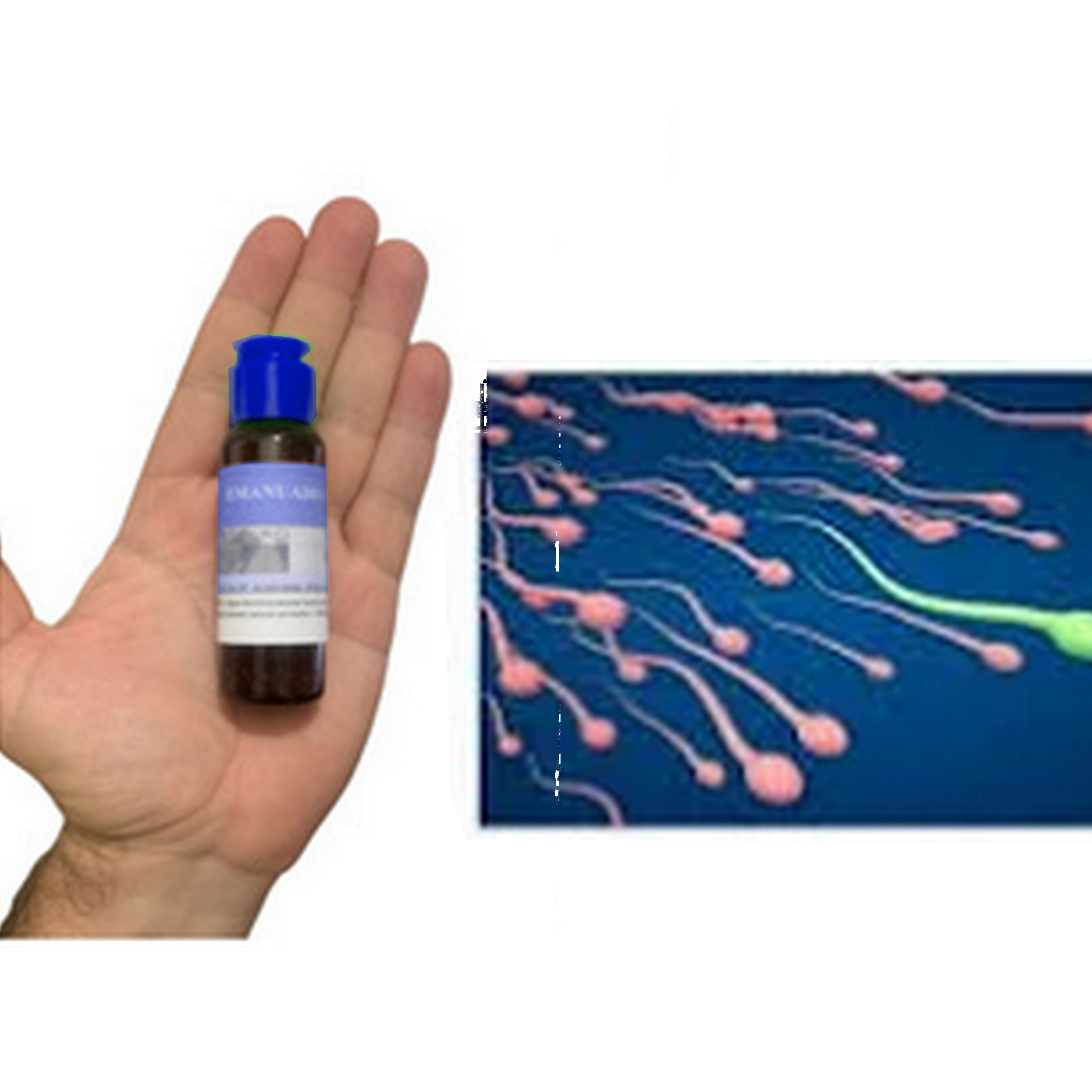 Extrato Natural de Ervas Medicinais Para Aumentar a Qualidade e a ...